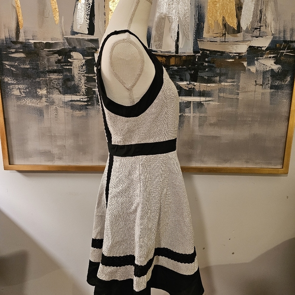 Ryu Black and White Mini Dress - Picture 4 of 8